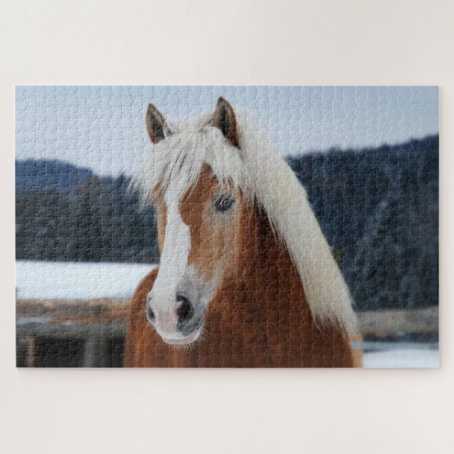 Puzzle Poni de Palomino en el campo (Horizontal)