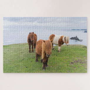 Puzzle Poni Shetland en pastizal cerca de acantilados alt
