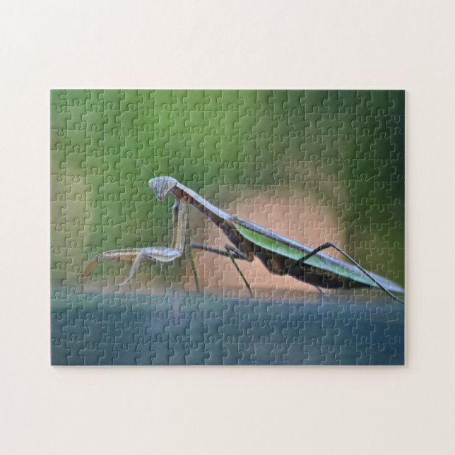 Puzzle Poniendo a los mantis rezando (Horizontal)