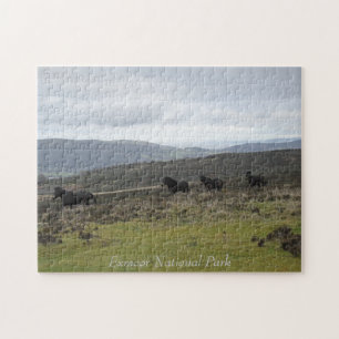 Puzzle Ponies en el Parque Nacional Exmoor, Inglaterra