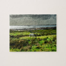 Puzzle ponis de Connemara Galway Irlanda.
