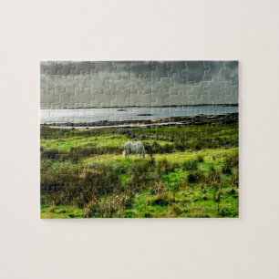 Puzzle ponis de Connemara Galway Irlanda.