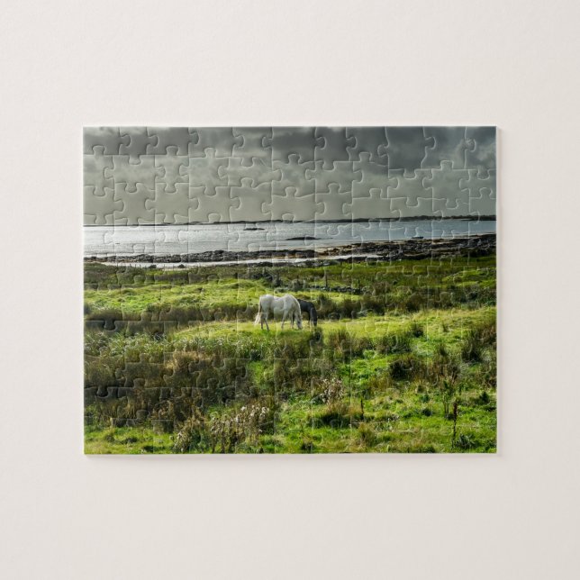 Puzzle ponis de Connemara Galway Irlanda. (Horizontal)