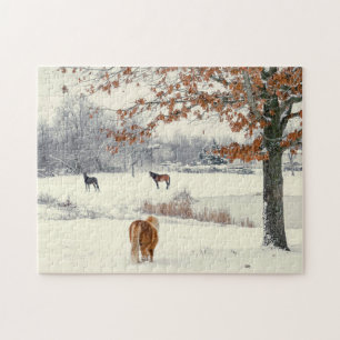Puzzle Pony and Horses in Snowy Field