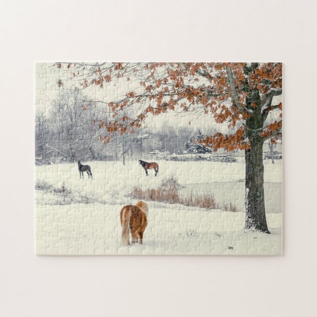 Puzzle Pony and Horses in Snowy Field (Horizontal)