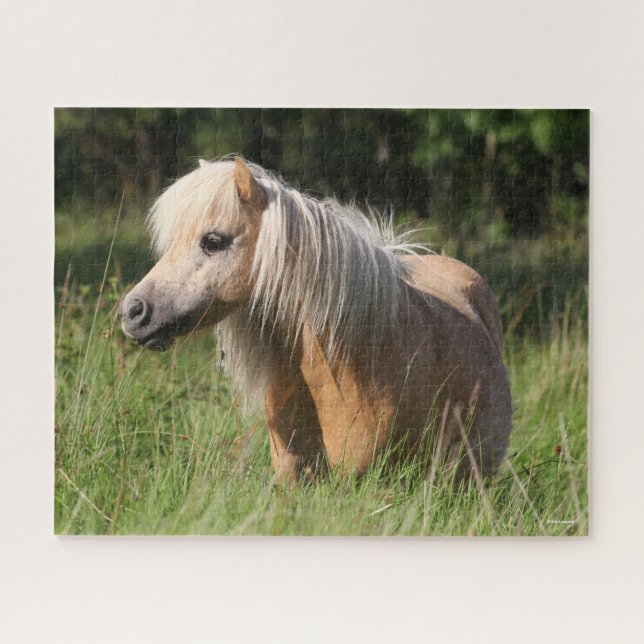 Puzzle Pony de Bob Langrish Shetland de pie en largo (Horizontal)
