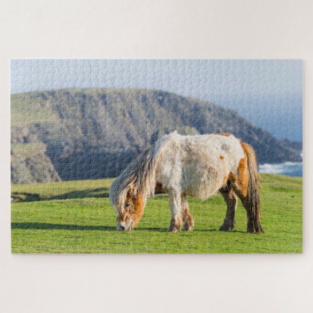 Puzzle Pony de Shetland sobre la pastelería cerca de alto (Horizontal)