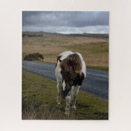 Puzzle Pony en la carretera en el Parque Nacional de Dart