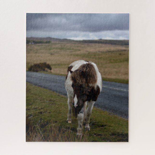 Puzzle Pony en la carretera en el Parque Nacional de Dart (Vertical)