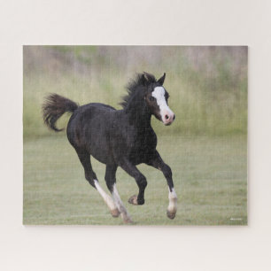 Puzzle Pony Foo Corriendo En Blanco Y Negro