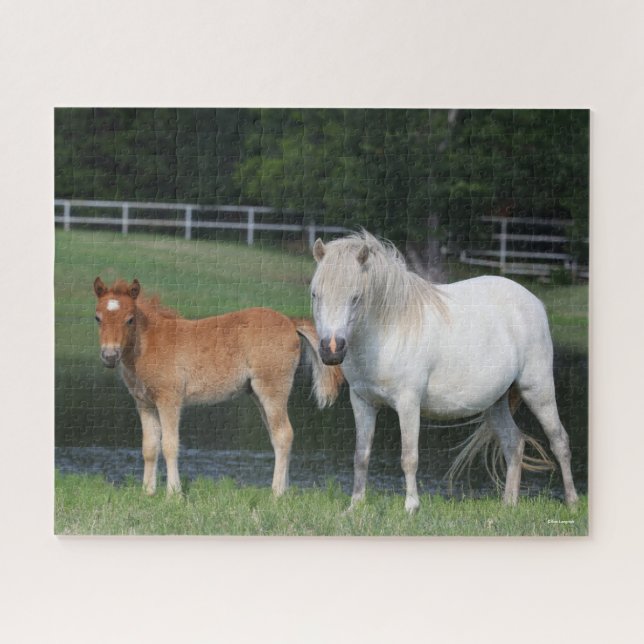 Puzzle Pony Mare y el pie de los tontos de Bob Langrish (Horizontal)