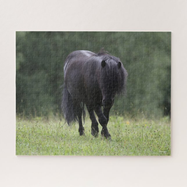 Puzzle Pony Stallion Walking (Horizontal)