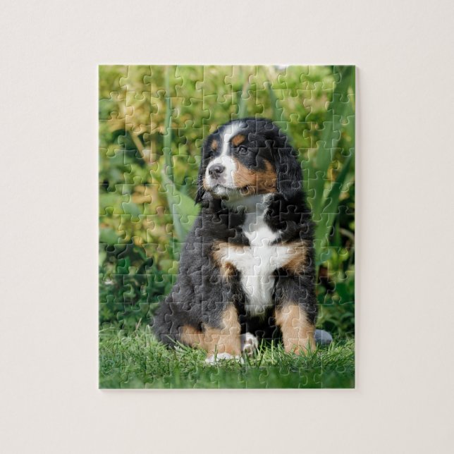 Puzzle Popo de Berna (Vertical)