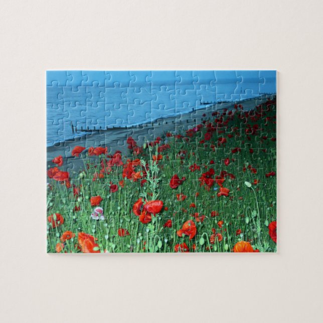 Puzzle Poppies del Sur (Horizontal)