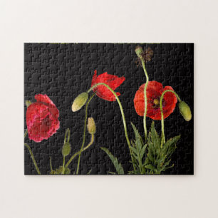 Puzzle Poppies rojos en negro