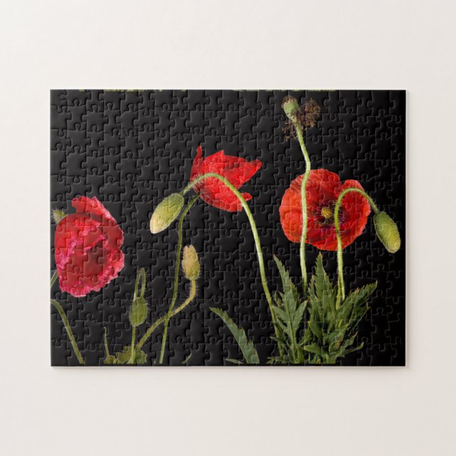 Puzzle Poppies rojos en negro (Horizontal)