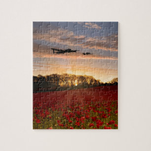 Puzzle Poppy Field Pass