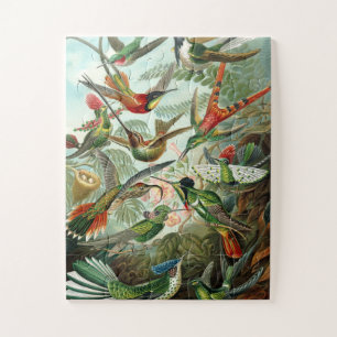 Puzzle Póquer de pájaro