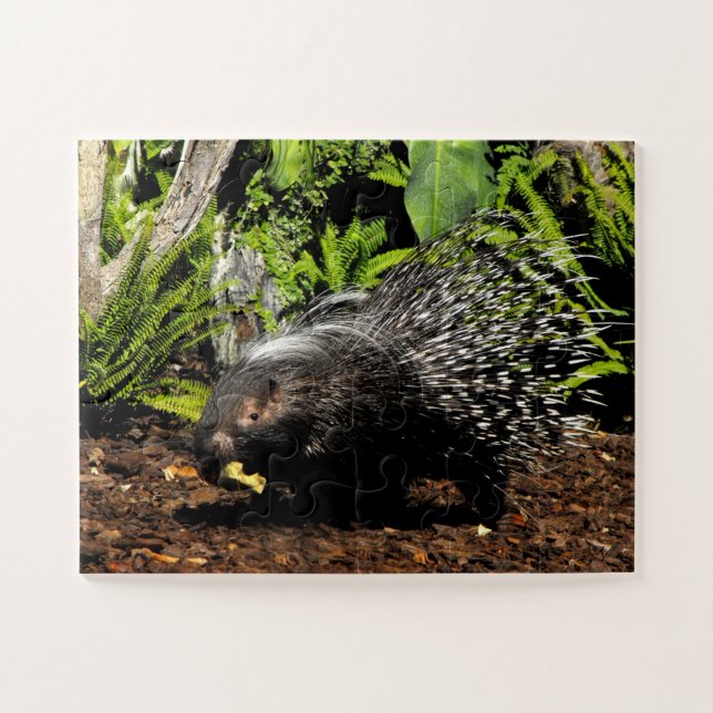 Puzzle Porcupina (Horizontal)