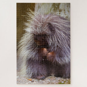 Puzzle Porcupine desafiando a los amantes de la naturalez