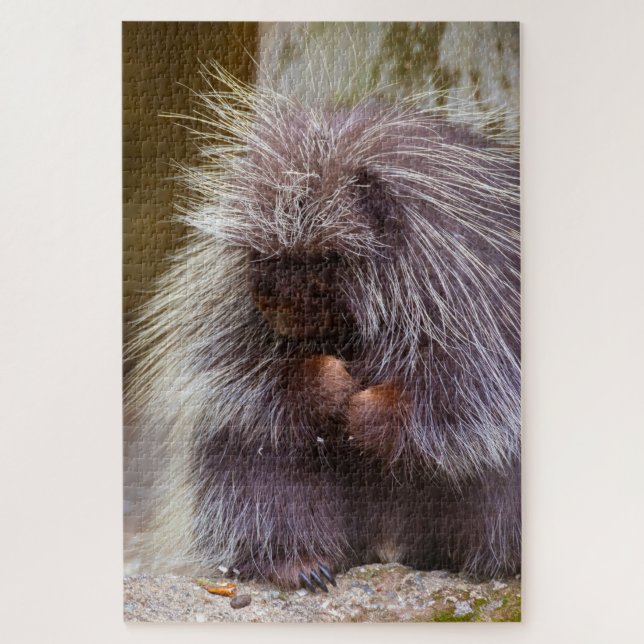 Puzzle Porcupine desafiando a los amantes de la naturalez (Vertical)