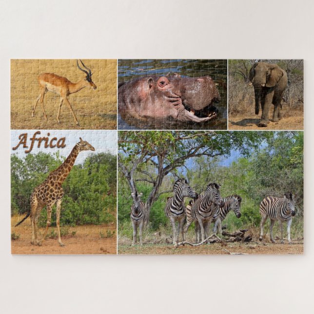 Puzzle Postales de África (Horizontal)