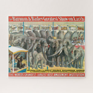 Puzzle Poster Circular De Elefantes Y Animales En Jaulas
