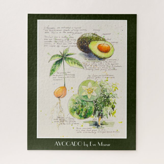 Puzzle POSTER de ilustracion botánico de aguacate con pin (Vertical)