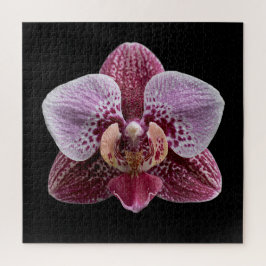 Puzzle Póster de la elegante colección botánica de orquíd