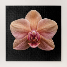 Póster de la elegante colección botánica de orquíd