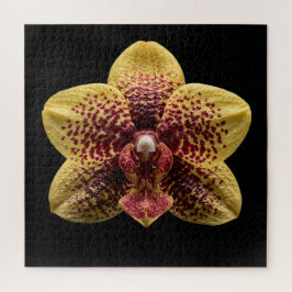Puzzle Póster de la elegante colección botánica de orquíd