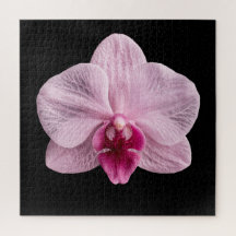Póster de la elegante colección botánica de orquíd