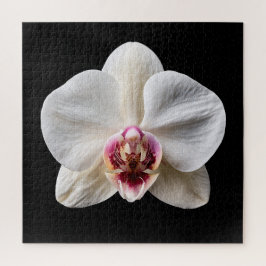 Puzzle Póster de la elegante colección de orquídeas botán