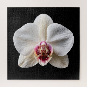 Puzzle Póster de la elegante colección de orquídeas botán