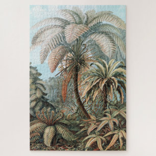 Puzzle Poster de las palmeras Ernst Haeckel