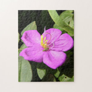 Puzzle Poster de Plumeria Rosa De Hawái Faux Canvas Impri