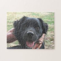 Postes de Smokey para cámara