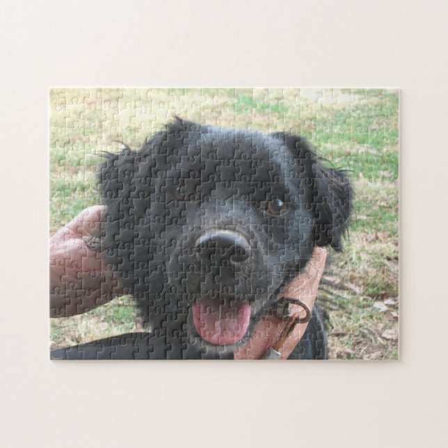 Puzzle Postes de Smokey para cámara (Horizontal)