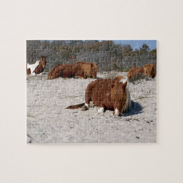Puzzle Potros Salvajes Durmiendo en el Parque Nacional As (Horizontal)