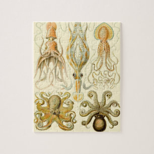Puzzle Poulpo de calamar vintage Gamochonia por Ernst Hae