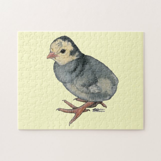 Puzzle Poult Blue Slate (Horizontal)