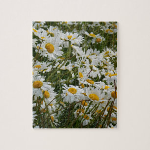 Puzzle Prado de flores felices - Margarita sonriente con 