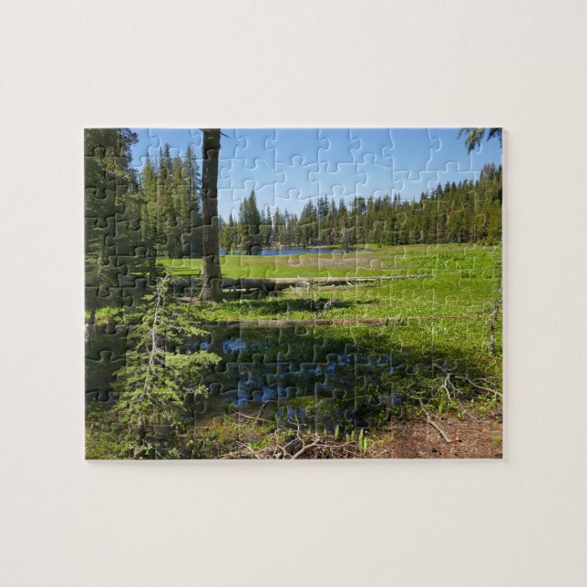 Puzzle Prado de Yosemite con estrellas fugaces (Horizontal)