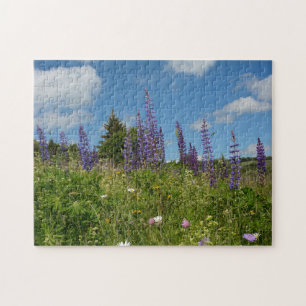 Puzzle Prados con lupinos -