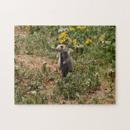 Puzzle Prairie Dog