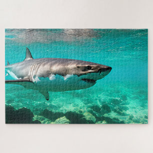 Puzzle Predador tropical: Gran tiburón blanco