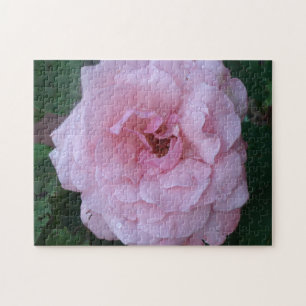 Puzzle Pretty Pink Peonie with Raindrops