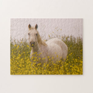Puzzle Primavera