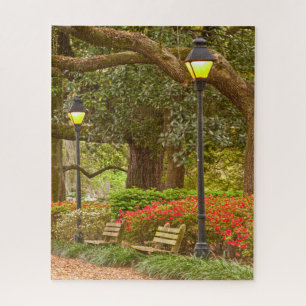 Puzzle Primavera en la sabana, GA, parque de Forsyth,