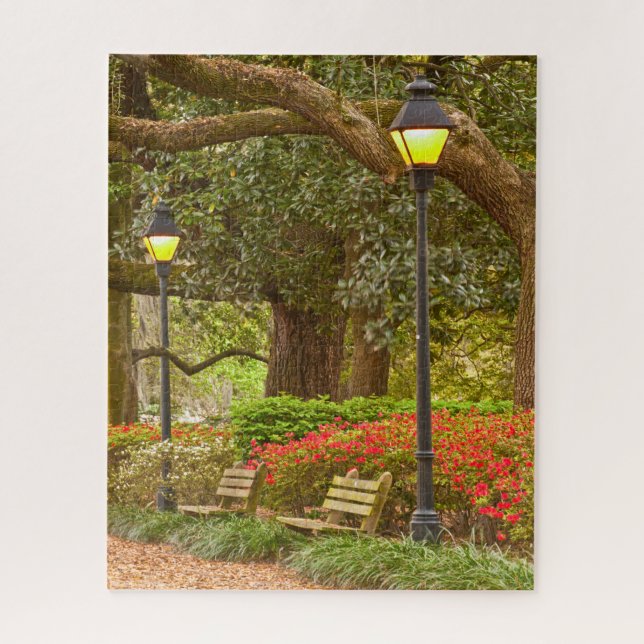 Puzzle Primavera en la sabana, GA, parque de Forsyth, (Vertical)